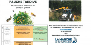 FAUCHE TARDIVE